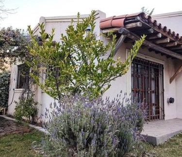 Chacras de Coria House | Espectacular casa en Chacras de Coria
