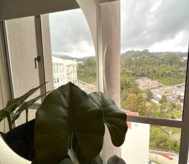 Manizales Apartment | Espectacular vista cerca a cable plaza con Piscina