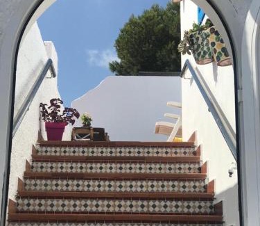 San Jose House | Espuma de Mar
