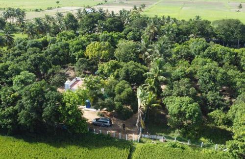 Chengalpattu House | Ess Emm Farms