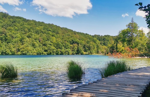 Seliste Hotel | Etno garden