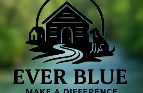 Ma'ayan Baruch Ski Chalet | Ever Blue Makes a Difference חוויה שעושה את ההבדל