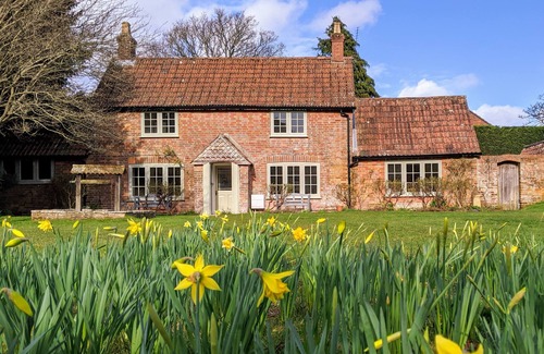 New Forest District Cottage | Evergreen - A charming & historic cobb cottage