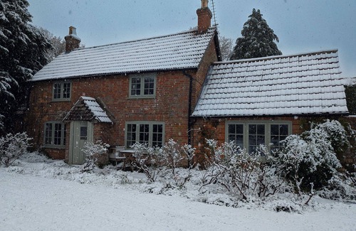 New Forest District Cottage | Evergreen - A charming & historic cobb cottage