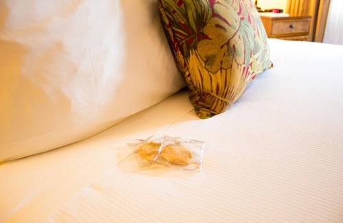 Volcano Hotel | Everything You Need For The Perfect Vacation! Cozy Unit for 4! Free Parking!