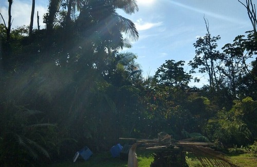 Leilani Estates House | Exceptional 10/10 Hosted Peaceful Forest Paradise, 2 acres, 1700 sq.ft.