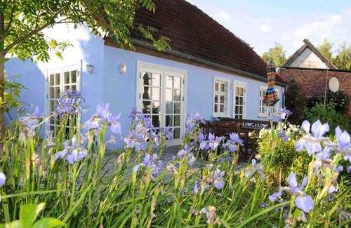 Warthe House | exclusive house to feel good with chimney, romantic farm garden - Usedom