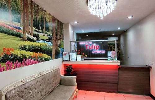 Davao Hotel | Executive Tulip Apartelle