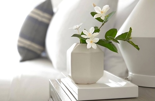 Key West Hotel | Experience Key West! Suite with Private Terrace & Free Shuttle Service!