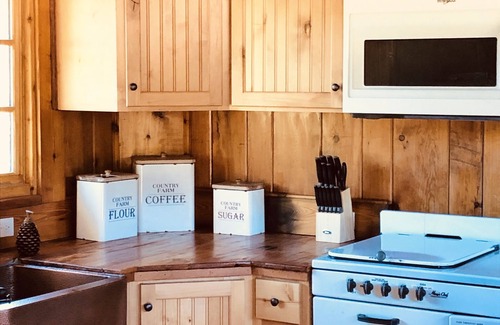 Allenspark Cabin | Experience the fall colors and wildlife, hiking, relaxing, pet friendly
