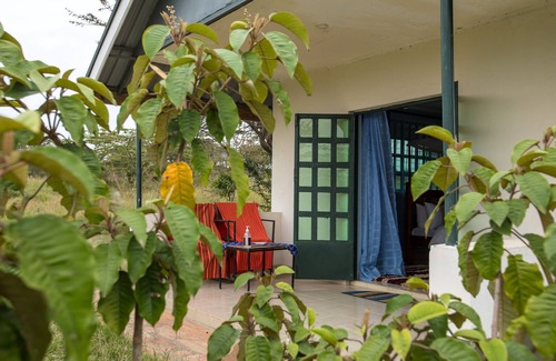 Aitong House | Explore the Masai Mara National Reserve