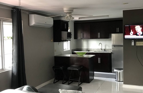 New Kingston Apartment | Exquisite, recently renovated studio apartment