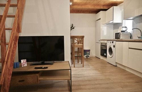 San Diego Apartment | Exquisito Estudio con Cama en Mezanine y Encantador Patio Compartido MPE35B