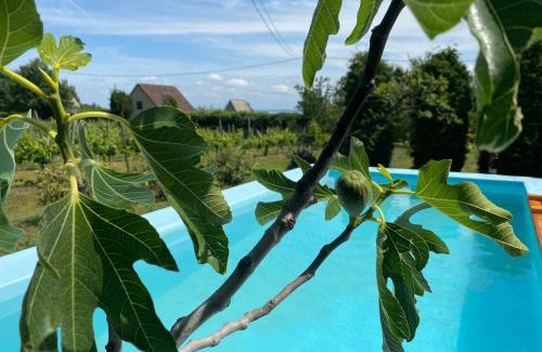 Lovas House | Füge Vendégház