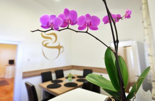 Eger Apartment | Főtér Apartman