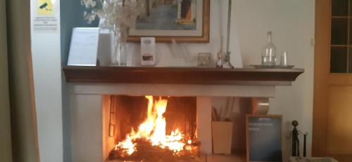Marino Bed & Breakfast | Fabiola B & B