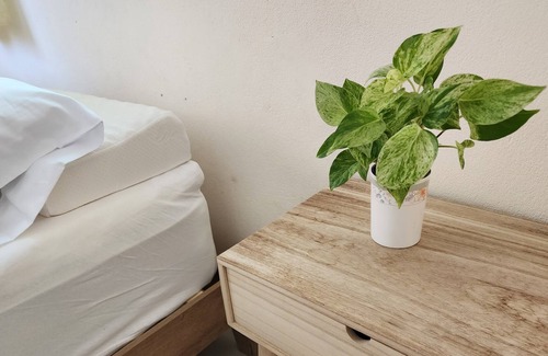 Sattahip Villa | Family and pet-friendly villa with warmth and well-living 10 minutes to beaches!