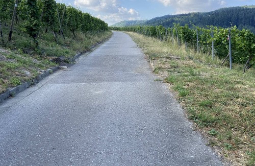 Waldrach Apartment | Family break in the beautiful Ruwertal near Trier, Luxembourg