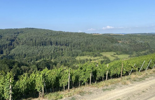 Waldrach Apartment | Family break in the beautiful Ruwertal near Trier, Luxembourg