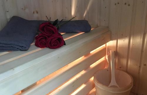 Kielce Apartment | Family & Business Sauna Apartments Paderewskiego Sienkiewicza No2 Centrum Downtown - 2 Bedroom with Private Sauna, Bath with Hydromassage, Parking