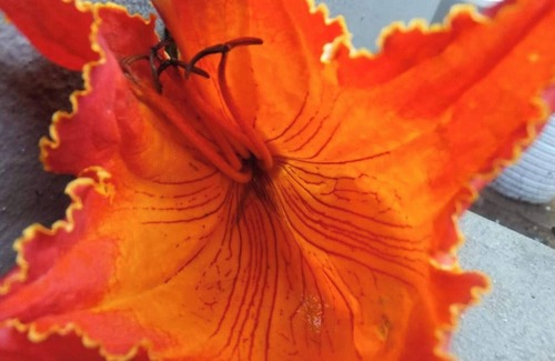 St. Lucia Apartment | Family friendly. World heritage site, game reserves, bird trails and beaches