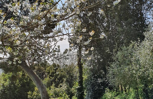 Binic House | Family home, 5 minutes from the beach
