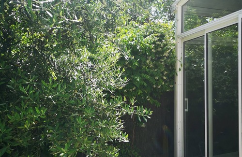 Les Arceaux House | Family home with pool in the heart of Montpellier