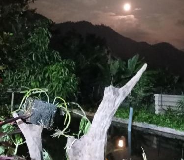 Sa Pa Apartment | Family homestay mrhieu
