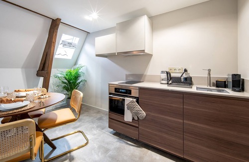 Schiedam Apartment | Family Penthouse from Rotterdam CS top floor rm 5