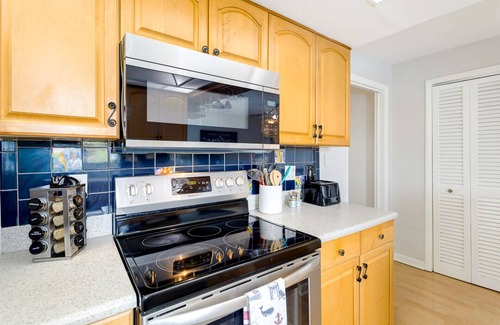 Merritt Island House | Family Vacation Home with pool, canal access for fishing or kayak with dolphins