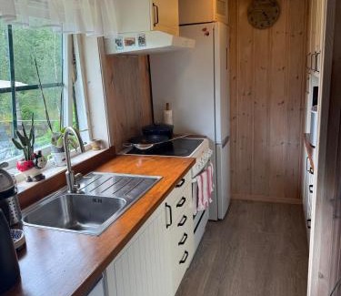 Samnanger House | Fantastic cabin in the woods & boat for rental or 2 days free boat on 7 days stay