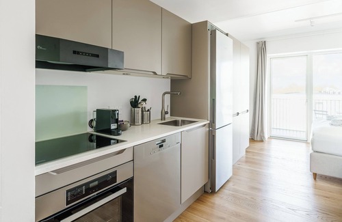 Odense Apartment | Fantastic Studio with balcony - 325