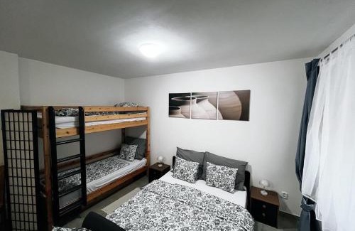 Libice nad Cidlinou Apartment | Fara No71 apart 2