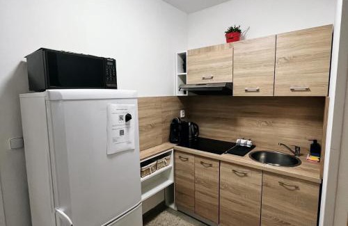 Libice nad Cidlinou Apartment | Fara No71 apart 2