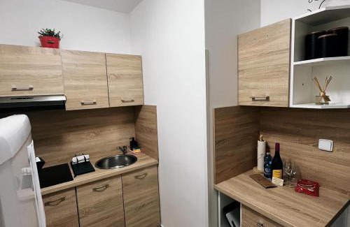 Libice nad Cidlinou Apartment | Fara No71 apart 2