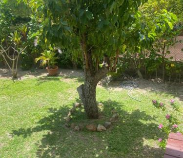 Tiahura House | FARE TITAINA