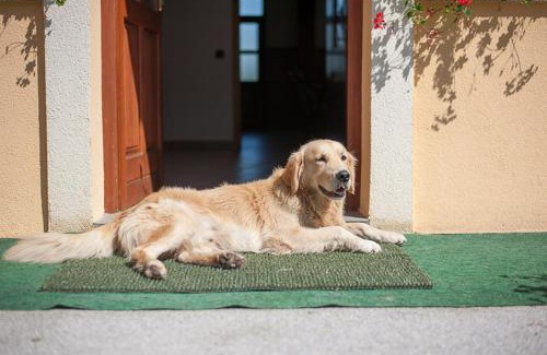 Bistrica ob Sotli House | Farm Stay Kramer
