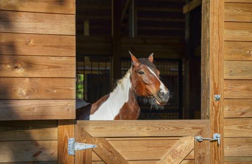 Lakeland Apartment | Farm Stay Modern Barndominium in Lakeland!