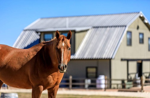 Grapetown House | Farmhouse ∙ 2 bedrooms ∙ 4 guests