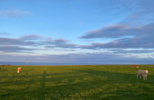 Wick Cabin | Farr North Lodge 1 By The Sea