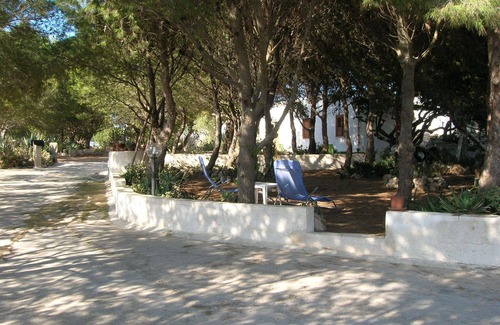 Favignana House | FAVIGNANA: STUDIO 2 PLACES IMMERSED IN THE GREEN OF A WONDERFUL PINETA
