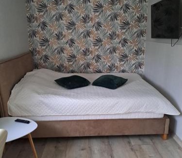 Narva Apartment | Felicia studio