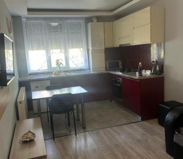 Craiova Apartment | Felicity 1