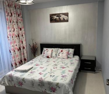 Craiova Apartment | Felicity 1