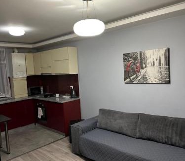 Craiova Apartment | Felicity 1