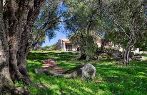 Arzachena Hotel | Felix Hotels - Country Resort Parco degli Ulivi