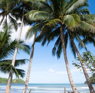El Nido House | Femya Homestay