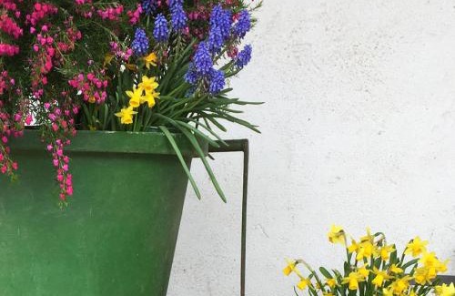 Freiburg im Breisgau Apartment | Ferien- Und Winzerhof Simon