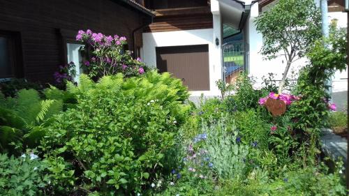 Obernzell Apartment | Ferienappartement Donautal