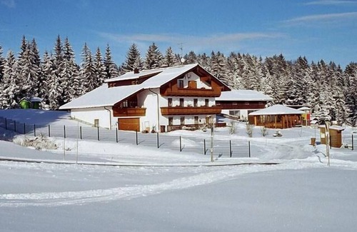 Neureichenau Apartment | Feriendomizil inmitten des Bay. Waldes mit 2 Schlafzimmern und Balkon